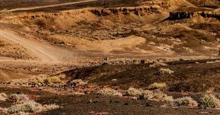 国际棒总高度评价赛事影响力